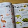 Modeling clay Animals book Image 3