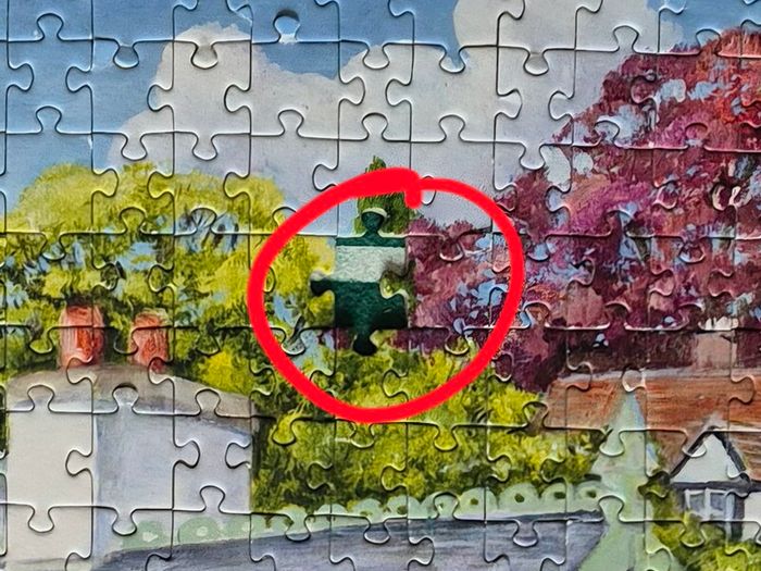 Jigsaw Puzzle