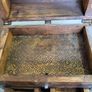 Pirates chest type box Image 6