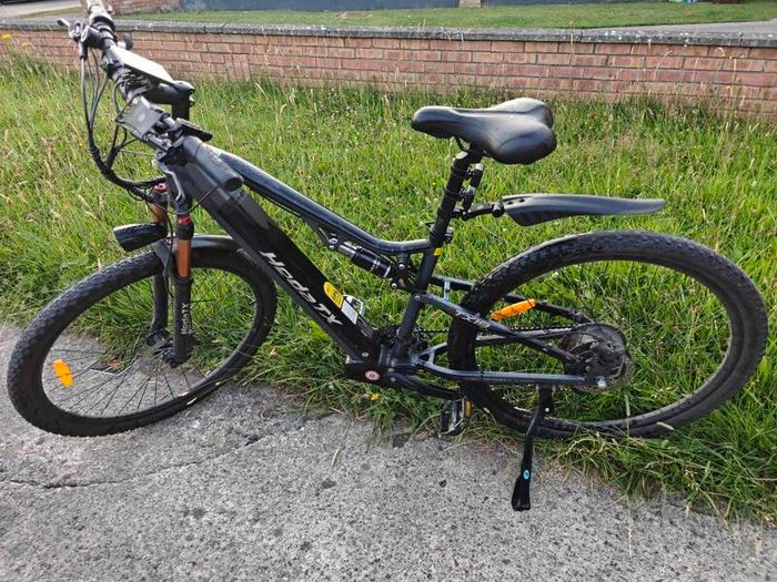 Electric mountain bike