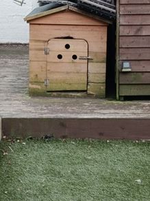 dog box