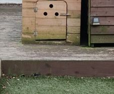 dog box