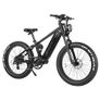 VITILAN T7 Mountain Electric Bike Image 2