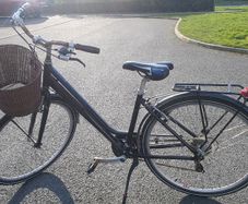 Raleigh Pioneer