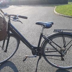 Raleigh Pioneer