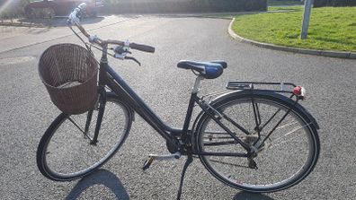 Raleigh Pioneer