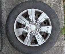 4 standard wheels R15 (Skoda Volkswagen Audi)