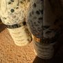 DKNY snake skin effect cream shoe w gold touch on heel Image 7