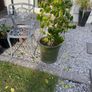 Two Outdoor Green Pots Image 3