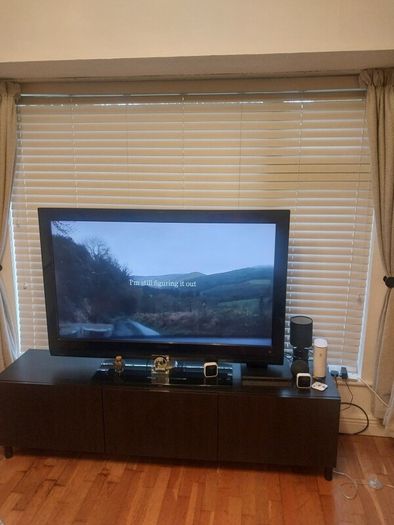 window blinds