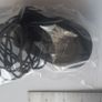 DELL Laser Optical USB Mouse 2-Button 4 Image 2
