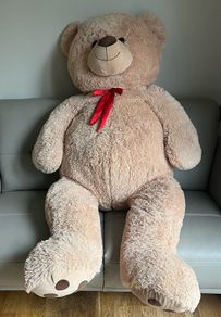 teddy