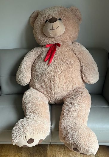 teddy