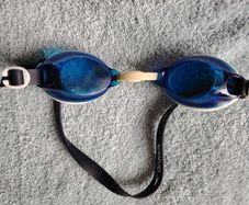 Speedo Goggles