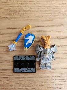 lego dragon born paladin, dungeon and dragons series