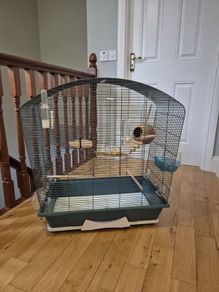 Bird Cage