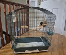 Bird Cage