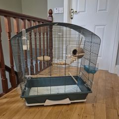 Bird Cage
