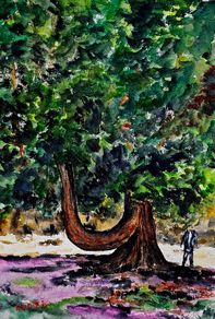 glendalough   tree  watercolor