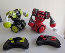 Fighting robots remote control
