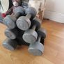 dumbell tree Image 5
