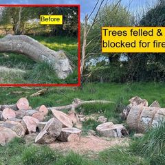 Garden tree cutting / removal. Dublin & Midlands