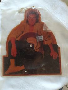 Quirky vinyl/David Cassidy