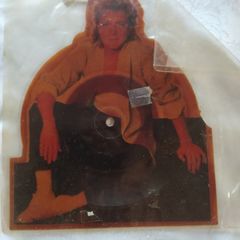 Quirky vinyl/David Cassidy