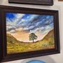 Sycamore Gap Tree Image 3