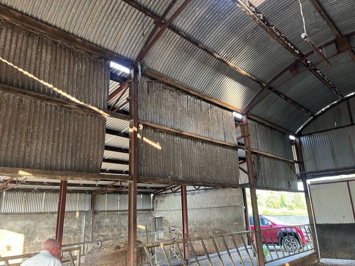Cattle shed