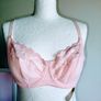 Fantasie Bra size 32C BNWT 10euro Image 2