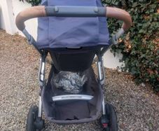 uppa baby vista buggy 2018 model