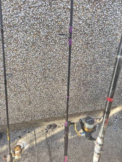 Selection of fishing rods