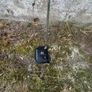 TaylorMade System 2 Ardmore 12 Putter Mens Right Hand Image 3