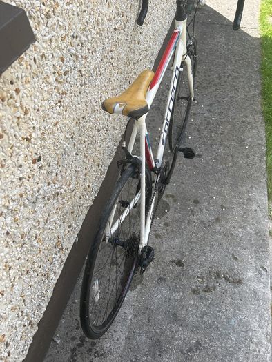 Carrera karkinos