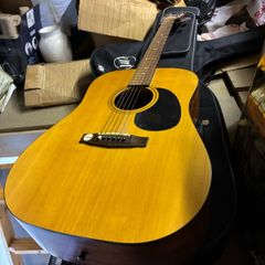 acoustic guitar