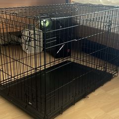 large dog cage