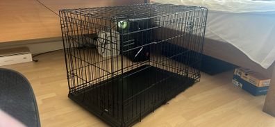 large dog cage