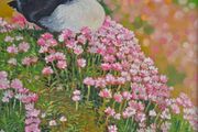 Puffin and Sea Pinks | oil painting | framed