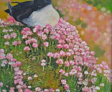 Puffin and Sea Pinks | oil painting | framed