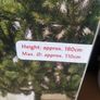 Christmas Tree Image 7