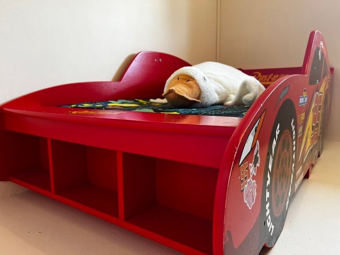 Toddler Bed