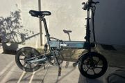 Fiido D2 Electric Bike