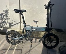 Fiido D2 Electric Bike