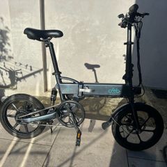 Fiido D2 Electric Bike