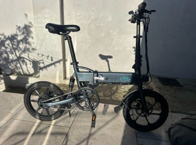 Fiido D2 Electric Bike