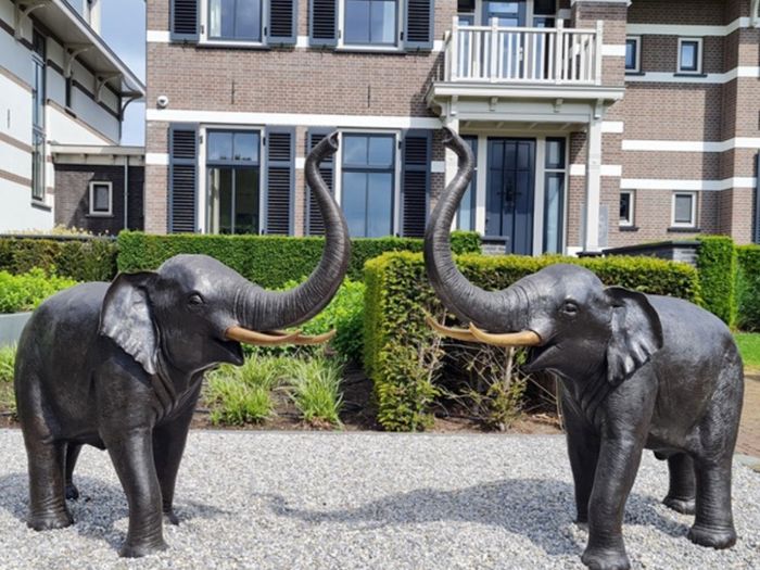 Pair of bronze elephants