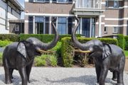 Pair of bronze elephants