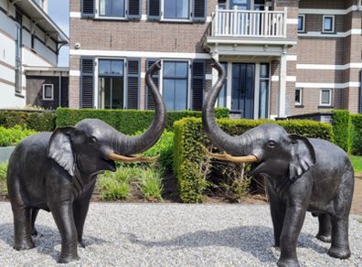 Pair of bronze elephants