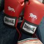 Sports fitness boxing bundle, 4 items all new unused, Muscle rollers, boxing gloves, power pushup bars Image 5